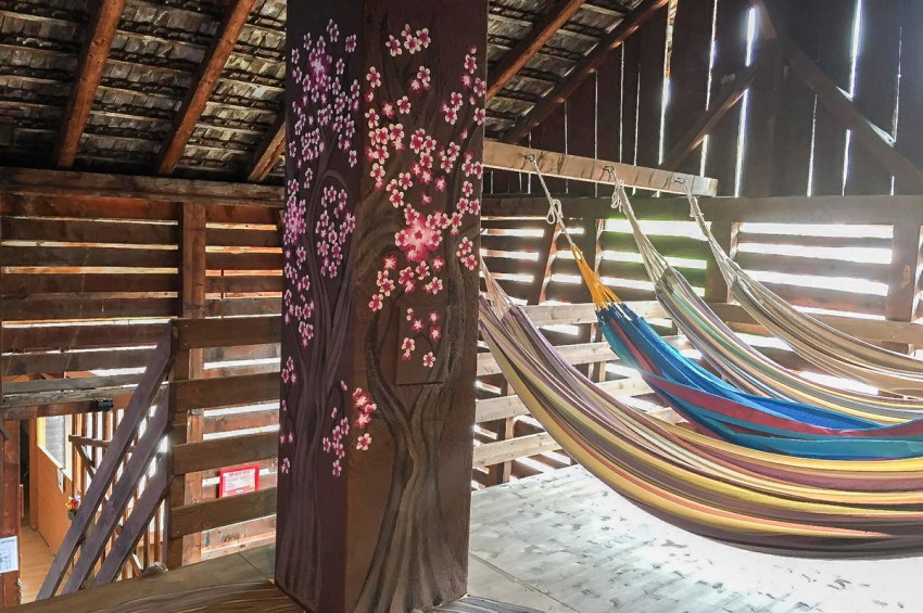 Special HAMMOCK Room Balmers Hostel, Camping