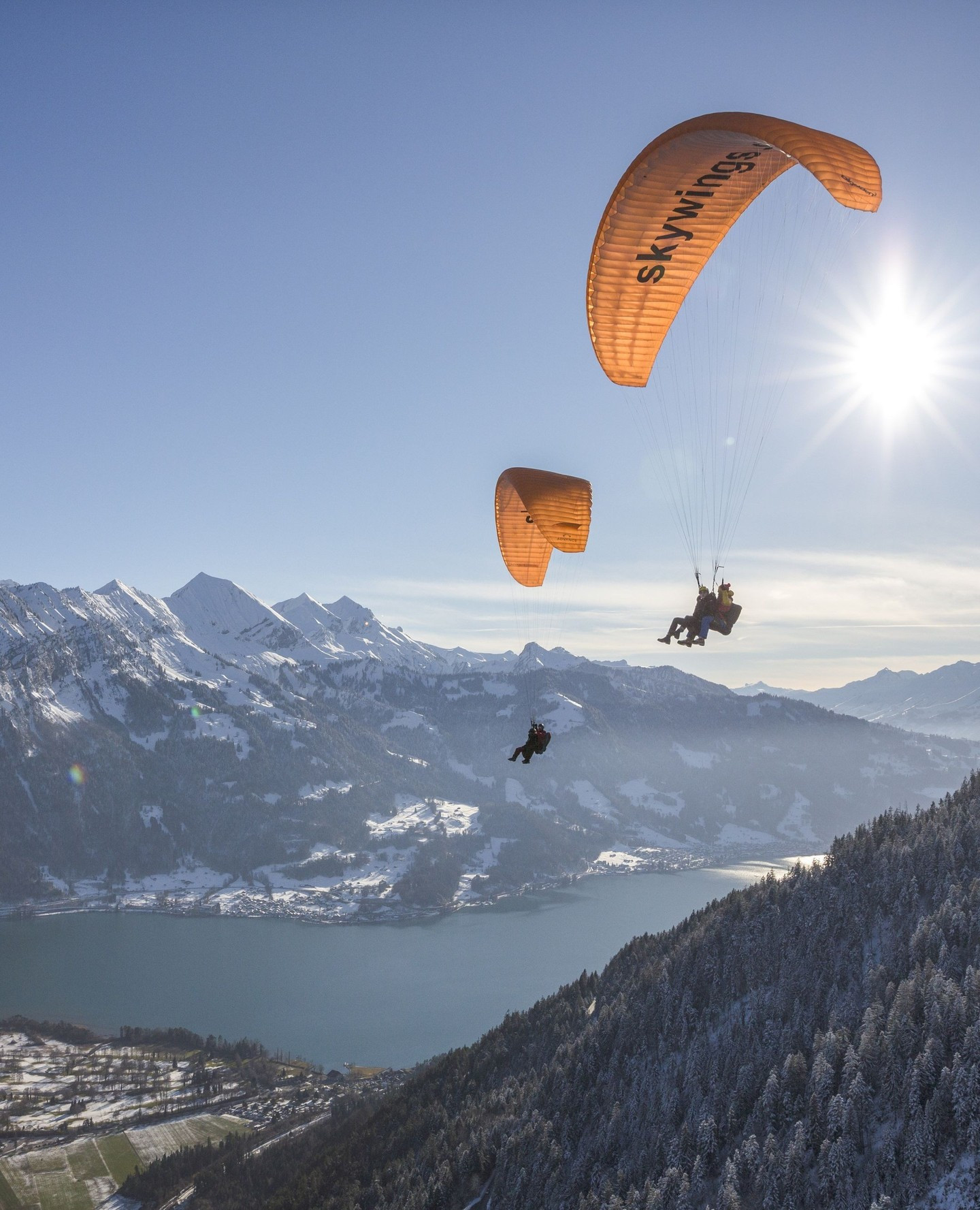 스위스 인터라켄 발머스 호스텔의 이미지