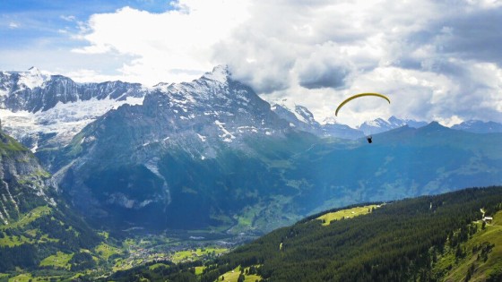 Paragliding Sommer Interlaken