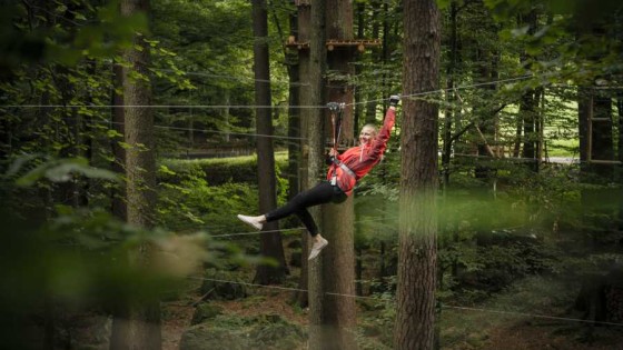 Seilpark Interlaken