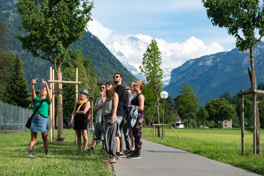 Image of at Balmers Hostel in Interlaken, Switzerland