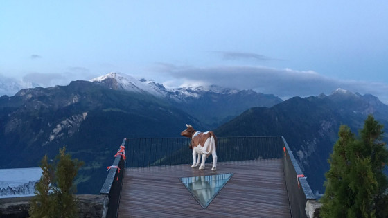 harder kulm hike view