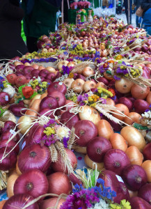 onion09
