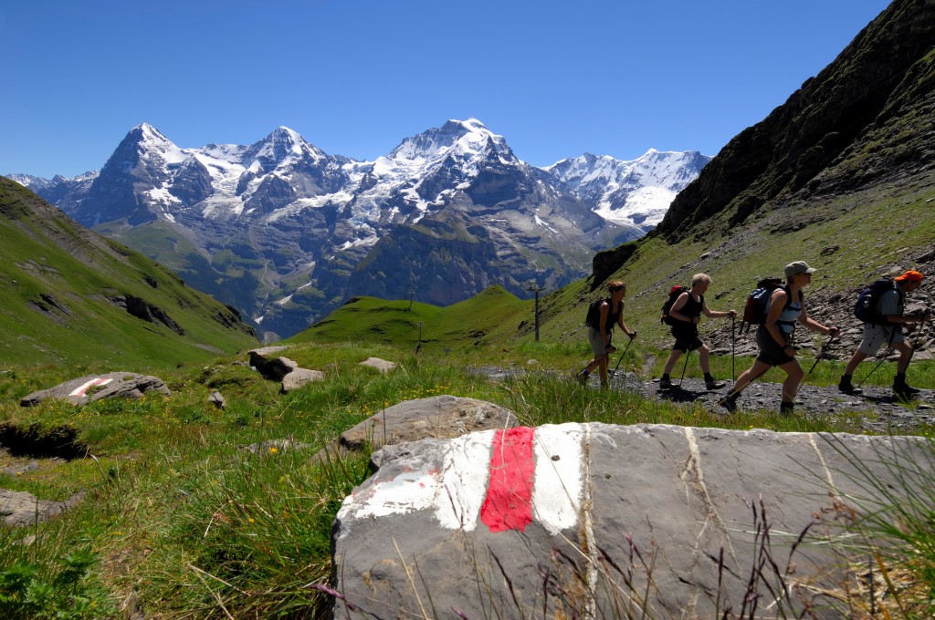 hikers walking on green grass with mountain in the background