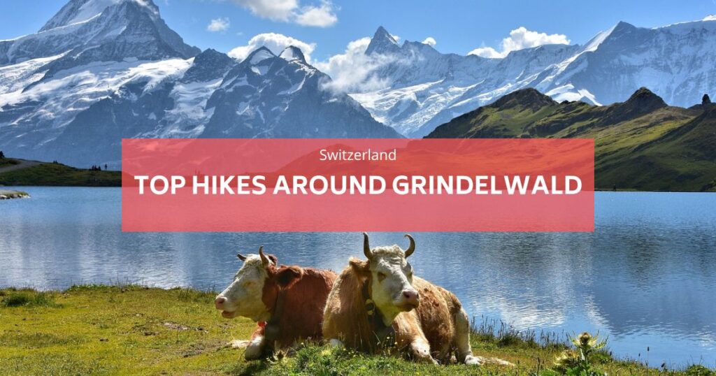 Grindelwald 주변의 최고 하이킹