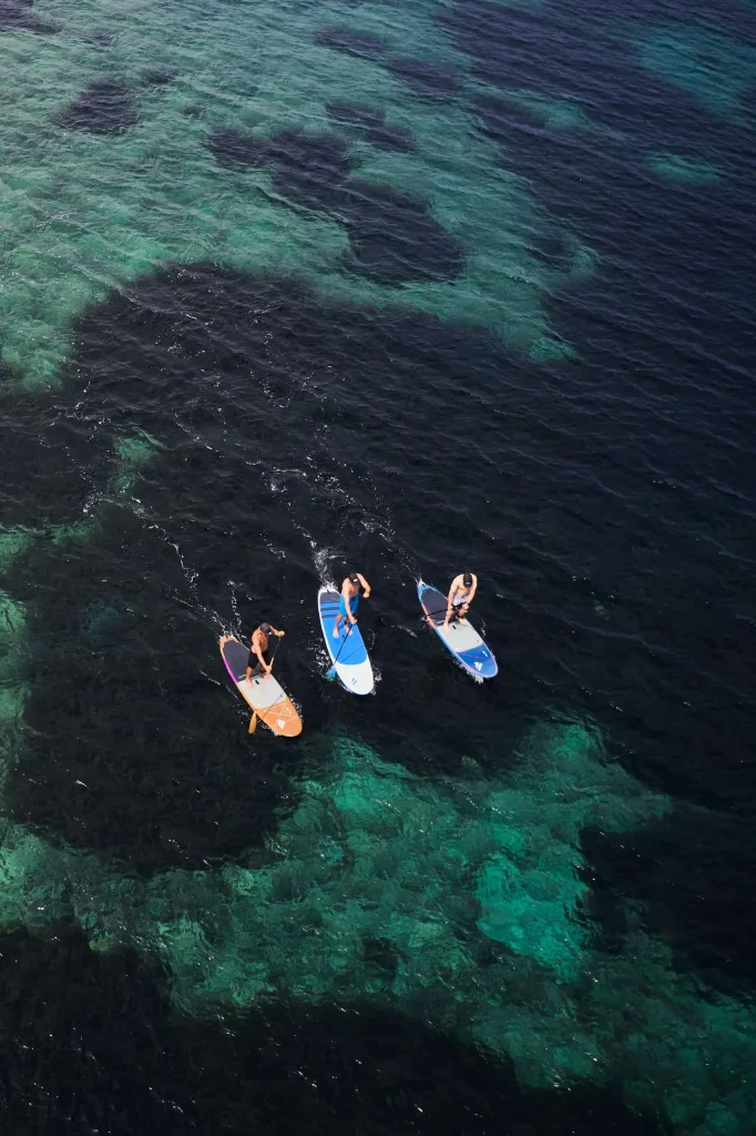 Suppe wie Brienzersee