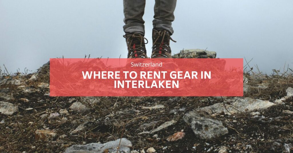 임대 기어가 인터 라른