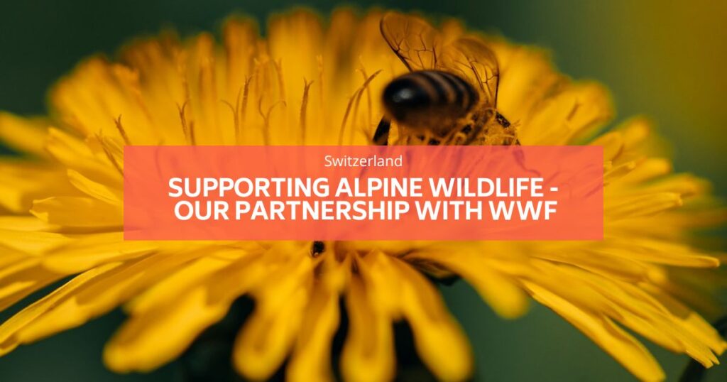 알파인 야생 동물 지원 WWF Balmers Hostel Interlaken