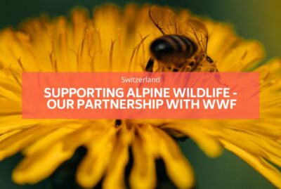 Supporting Alpine Wildlife WWF balmers hostel interlaken