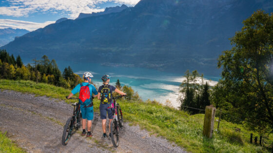 lake brienz biking tour interlaken